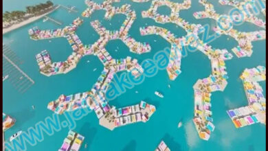 Maldives Floating Island City