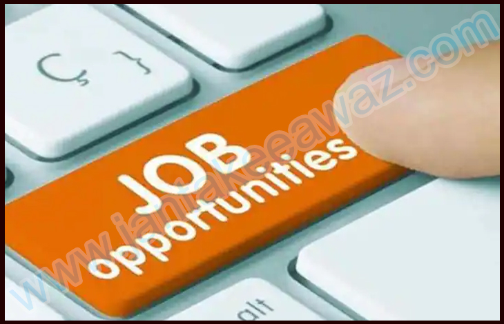 DSSSB Jobs 2022: दिल्ली में Teachers के लिए निकली बंपर भर्ती 1 DSSSB Jobs 2022