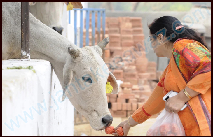 इंसानों को छोड़ ये कंपनी फेस रिकग्निशन टेक्नोलॉजी से गाय-भैंसों की जिंदगी संवार रही है! 1 GAU Model