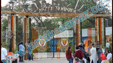 Waste to Wonder Park