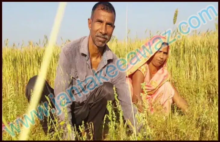 Diesel Subsidy Bihar: Diesel Subsidy के लिए ऐसे करें आवेदन 1 Diesel Subsidy Bihar