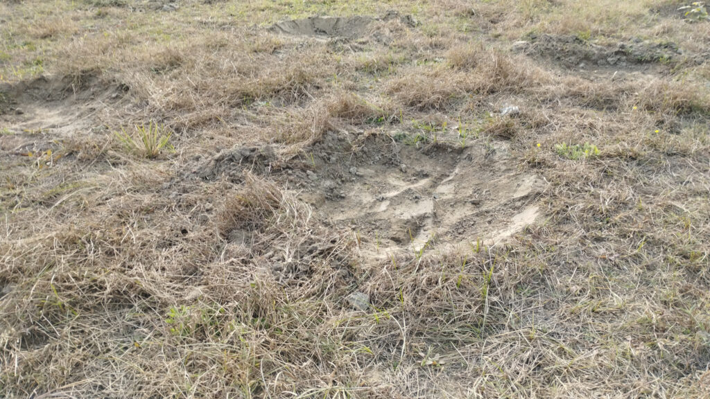 Forest Department