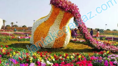 Ahmedabad Flower Show 2023