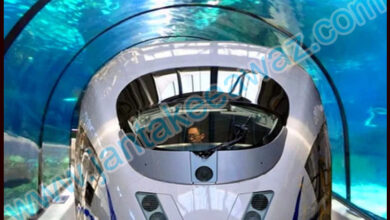 Under Water Train