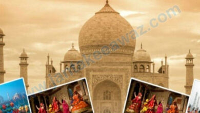 Taj Mahotsav 2024